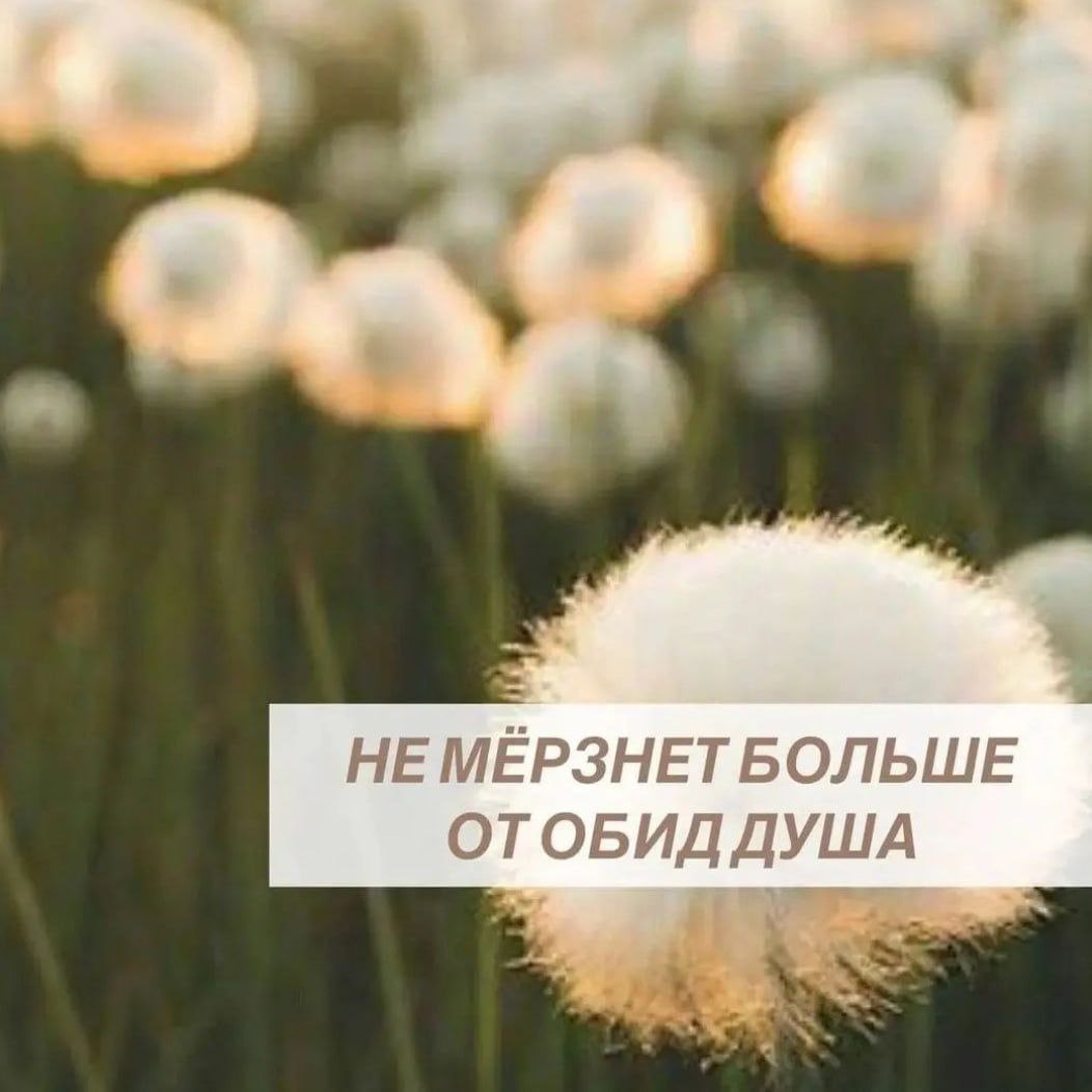 Архив христа тг