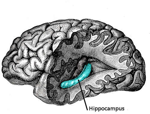 63f841729ac0e76e03a1e.png