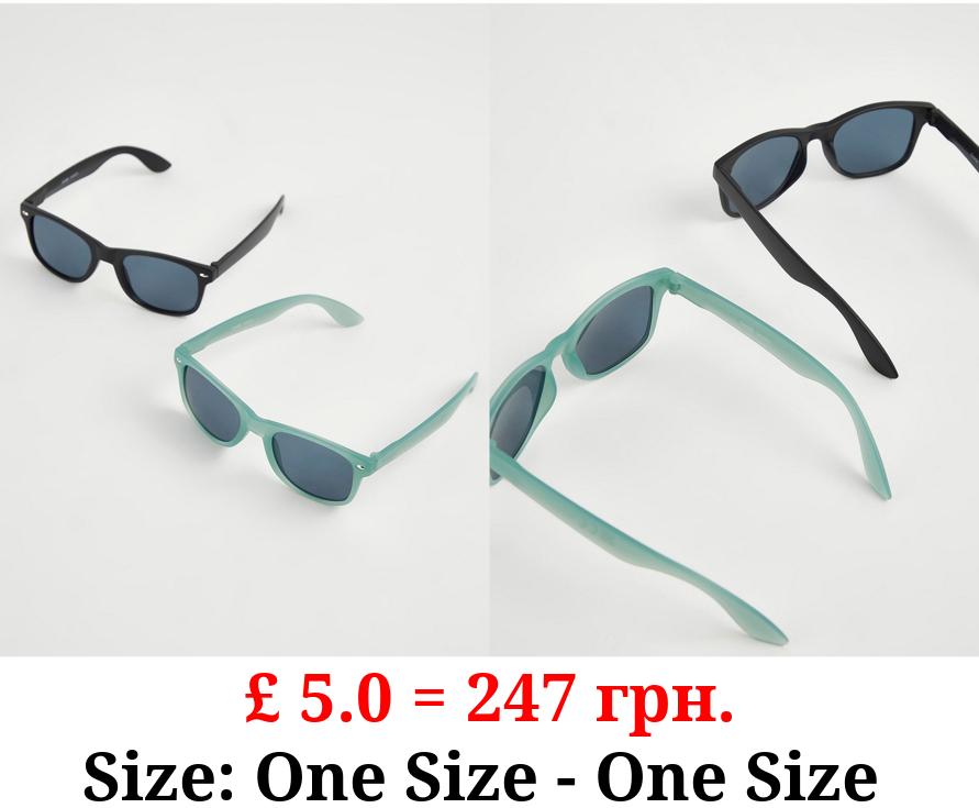 Matte Sunglasses 2 Pack
