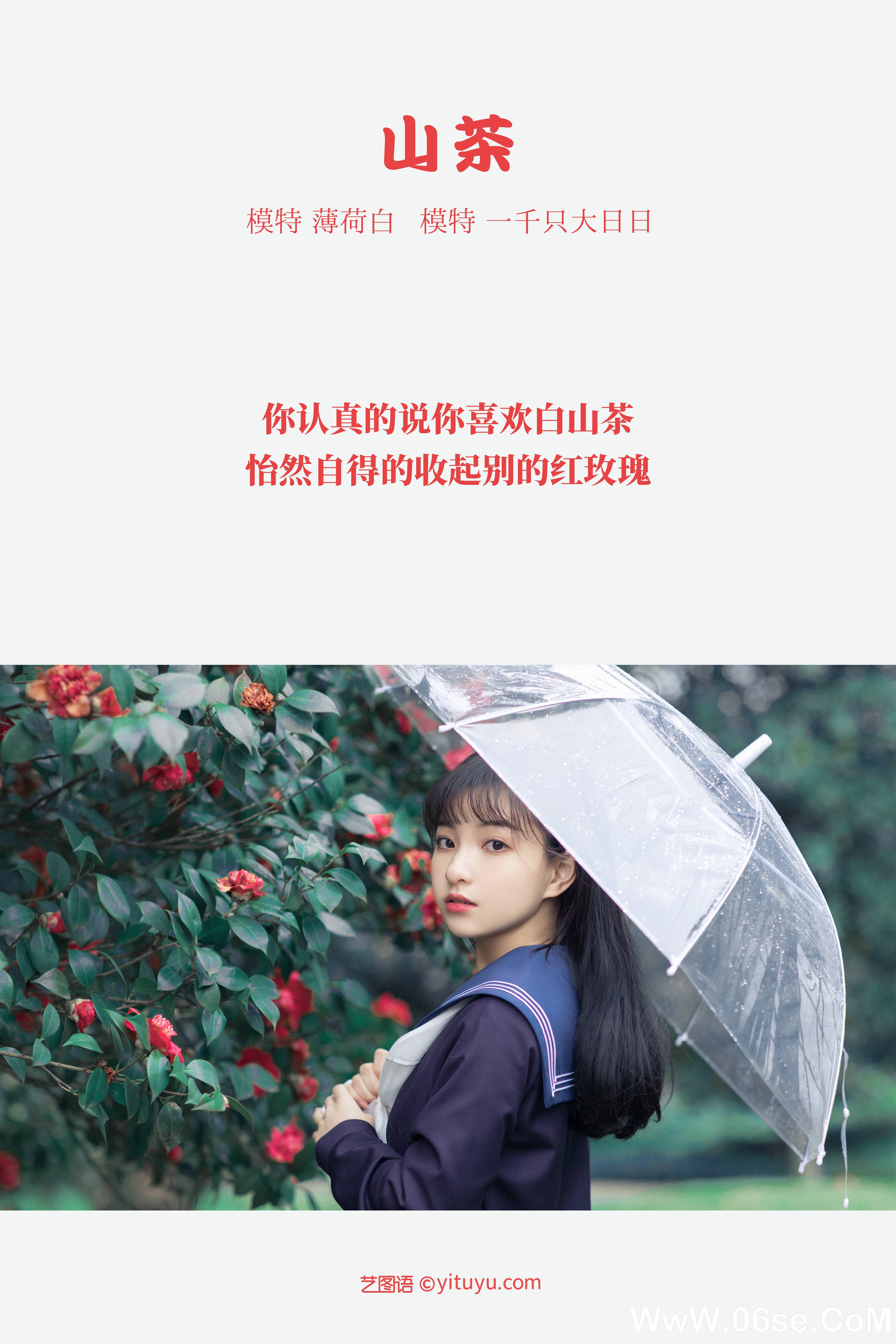 图片[2]-[YITUYU艺图语]2021.10.19 山茶 一千只大日日[17+1P／295MB]-六色网