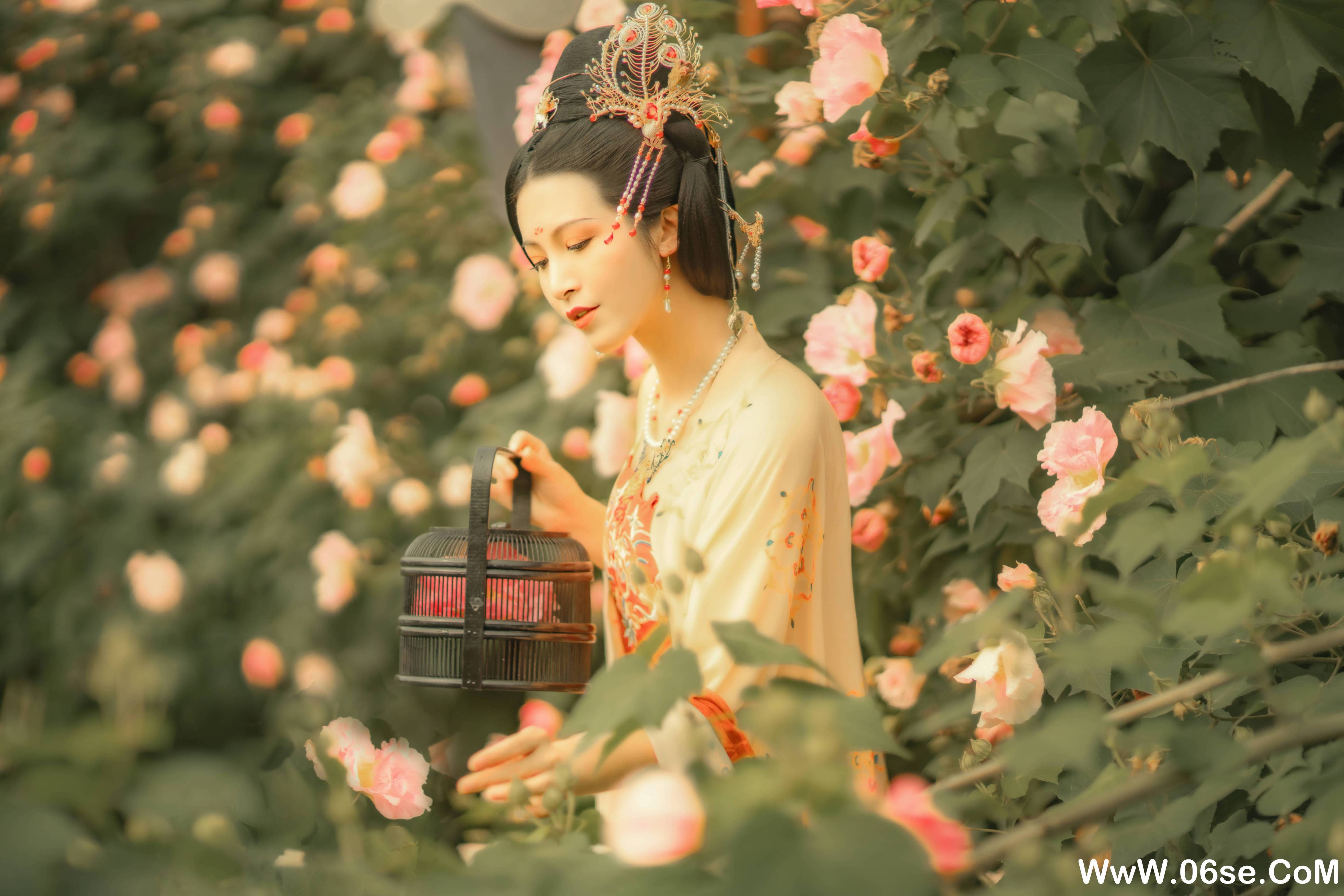 图片[15]-[YITUYU艺图语]2021.11.18 芙蓉词 修水凝花[37+1P／515MB]-六色网