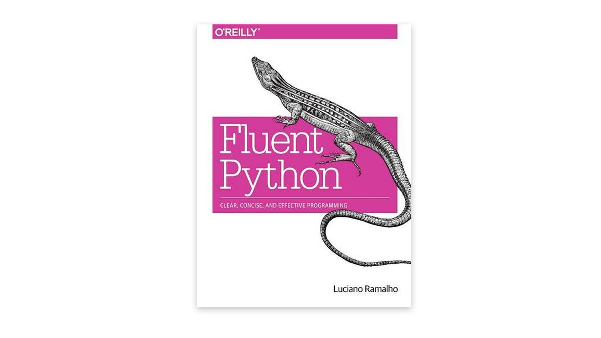 K 0 k python. Fluent Python. O'Reilly Python. Fluent Python Luciano. Fluent Python pdf.