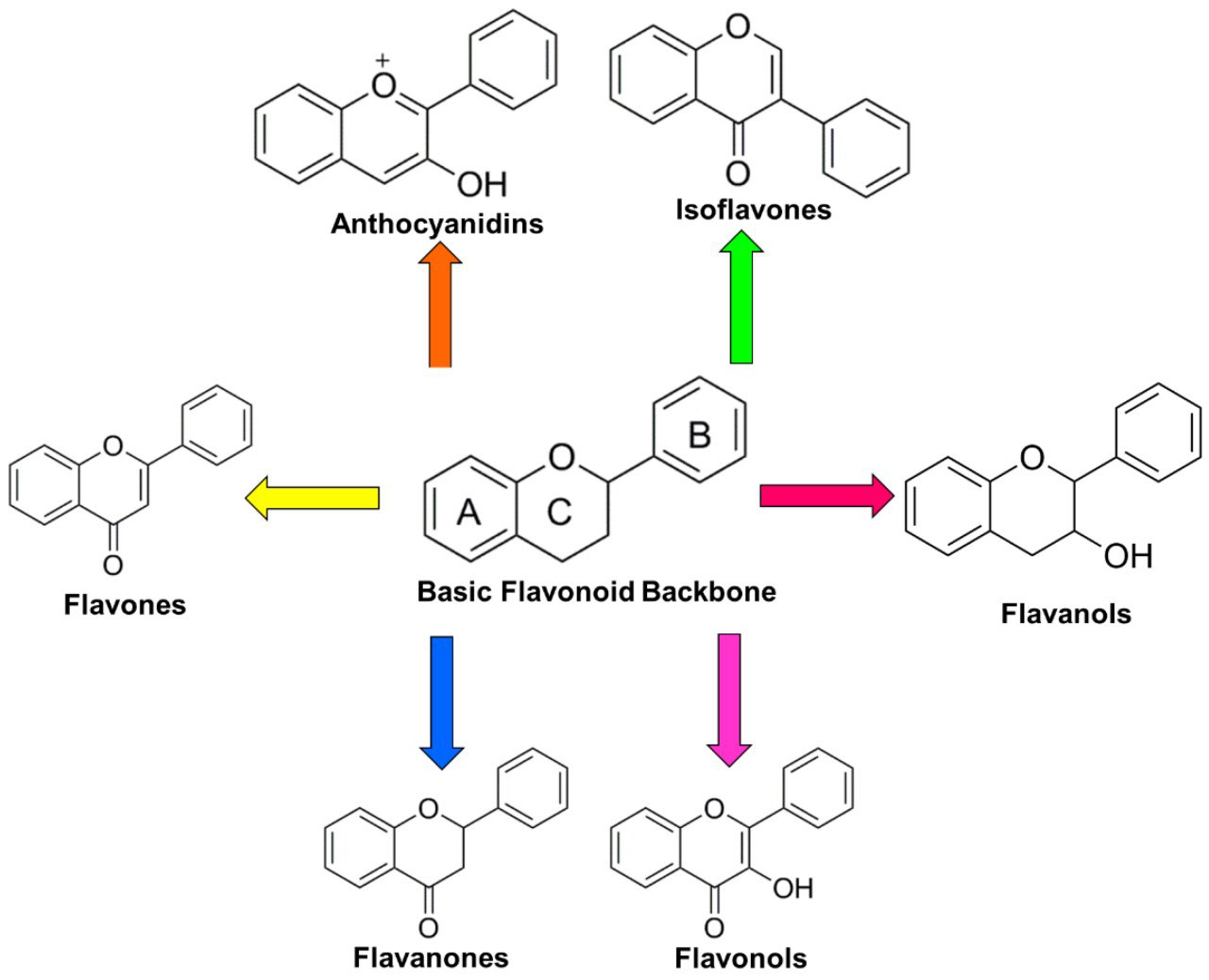 Flavonoides varices