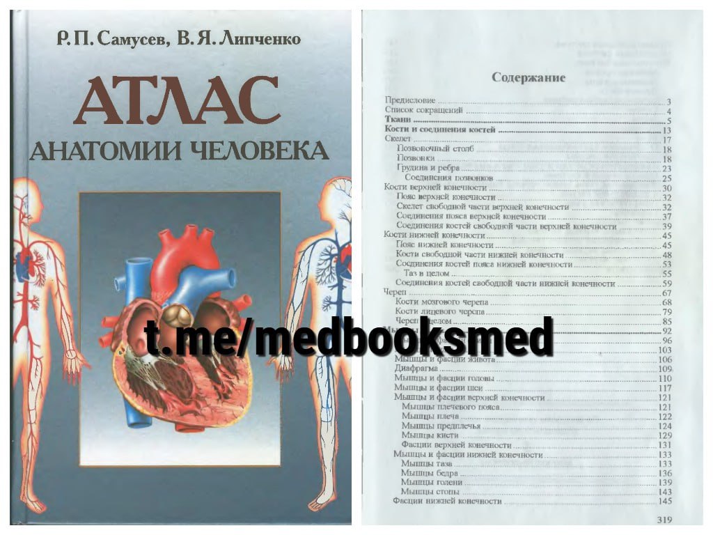 Анатомия липченко самусев. Атлас анатомия человека р.п Самусев. Липченко Самусев атлас нормальной анатомии. В.Я. Липченко атлас анатомии. Атлас анатомии человека Самусев Липченко.