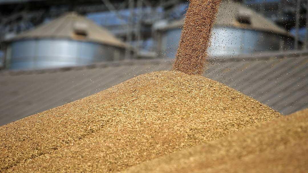 Минсельхоз США ухудшил России прогноз по экспорту пшеницы