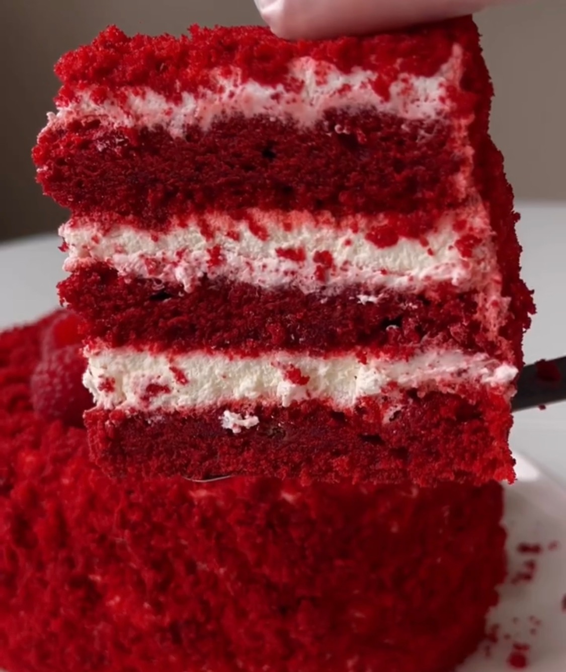 Красный бархат?? – Telegraph