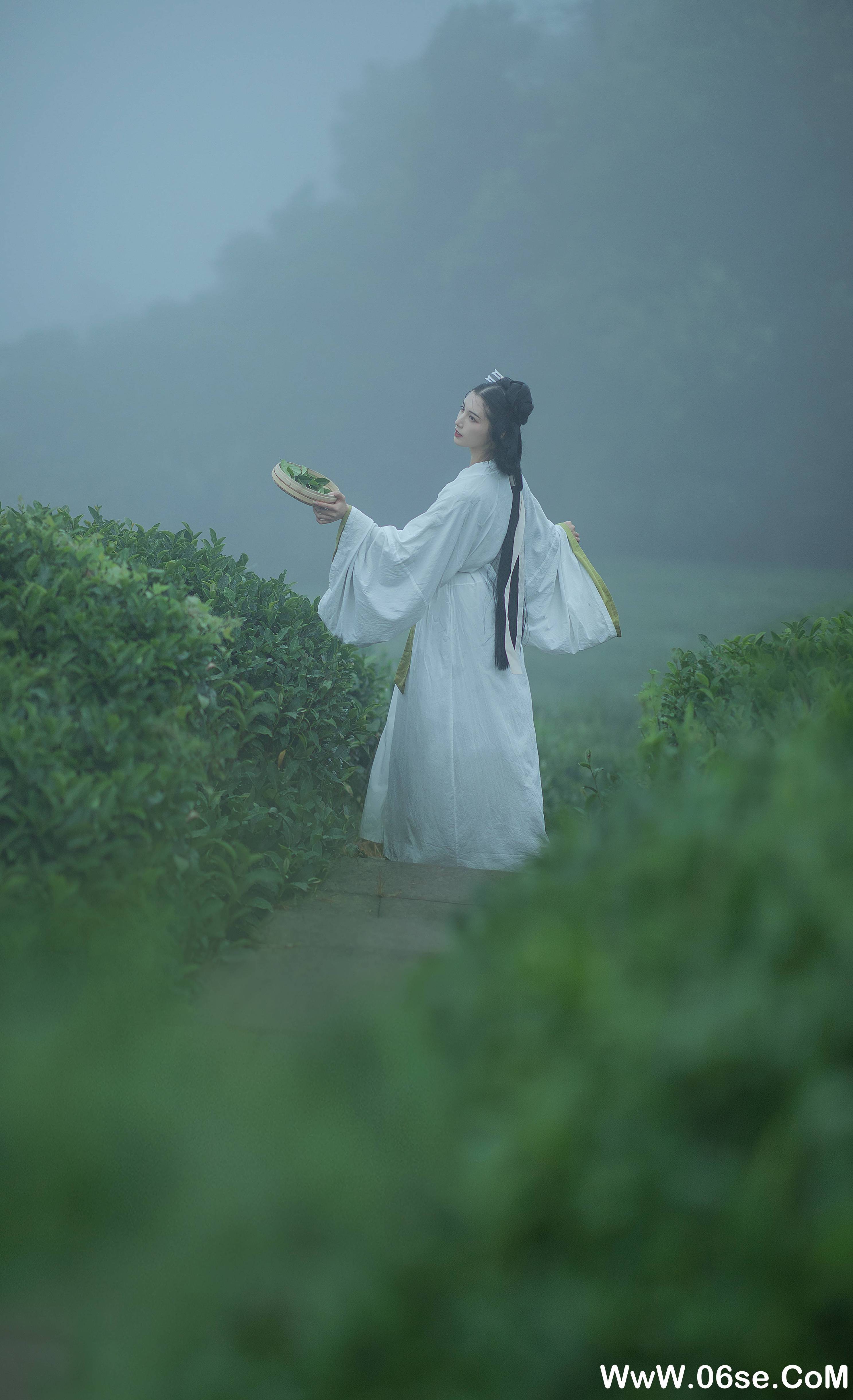 图片[6]-[YITUYU艺图语]2021.12.02 采茶女 十八重川[19+1P／151MB]-六色网