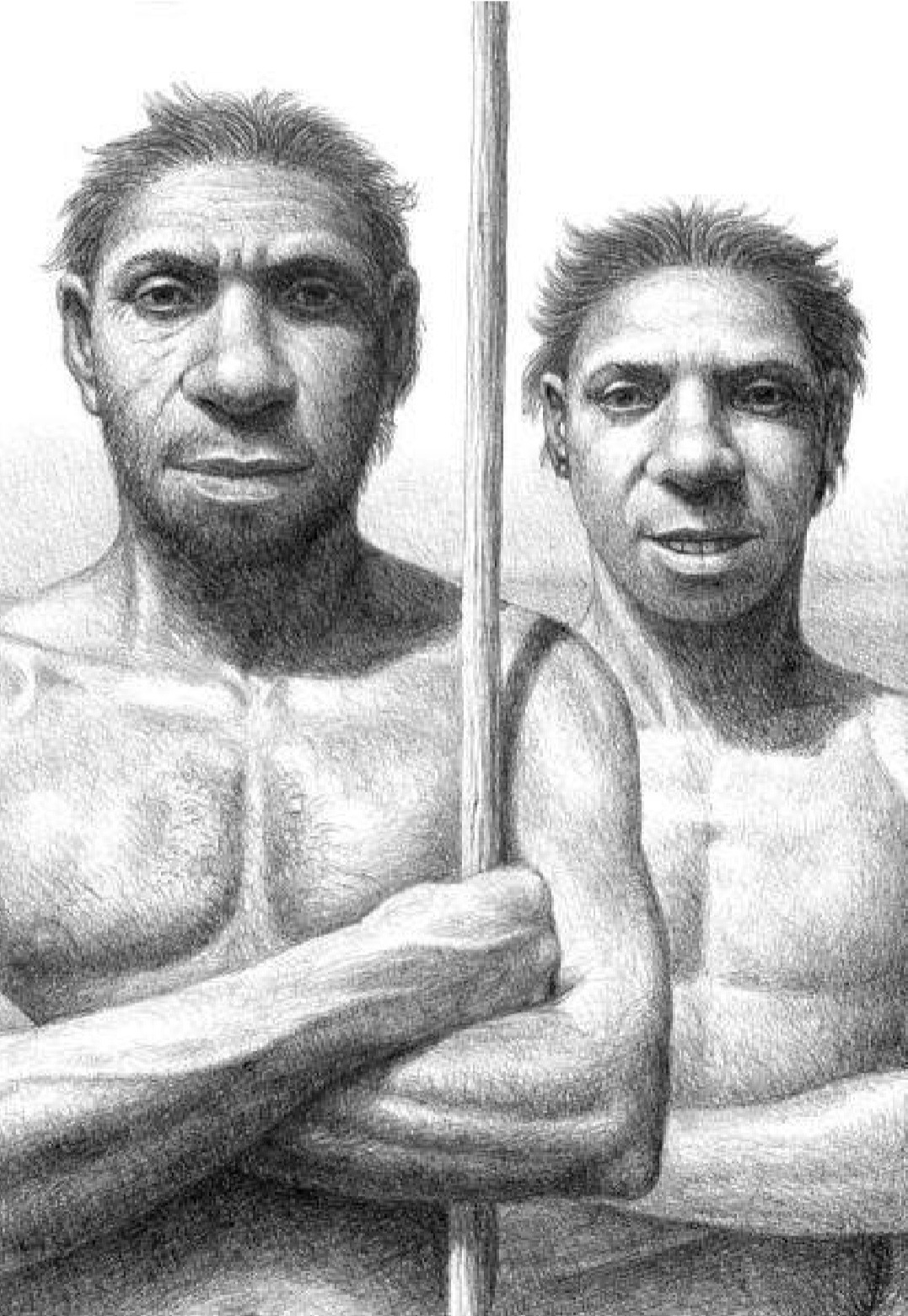 Homo heidelbergensis. Хомо гейдельбергенсис. Человек Гейдельбергский homo. Гейдельбергский человек (homo Heidelbergensis) орудия. Хомо- Гейдельбергского человек это.