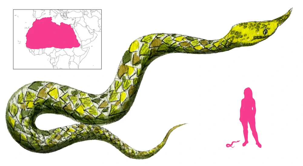 Сепс – Telegraph