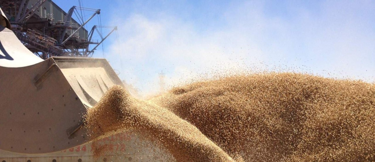 Минэкономразвития согласовало введение с 1 апреля временной квоты на экспорт зерна