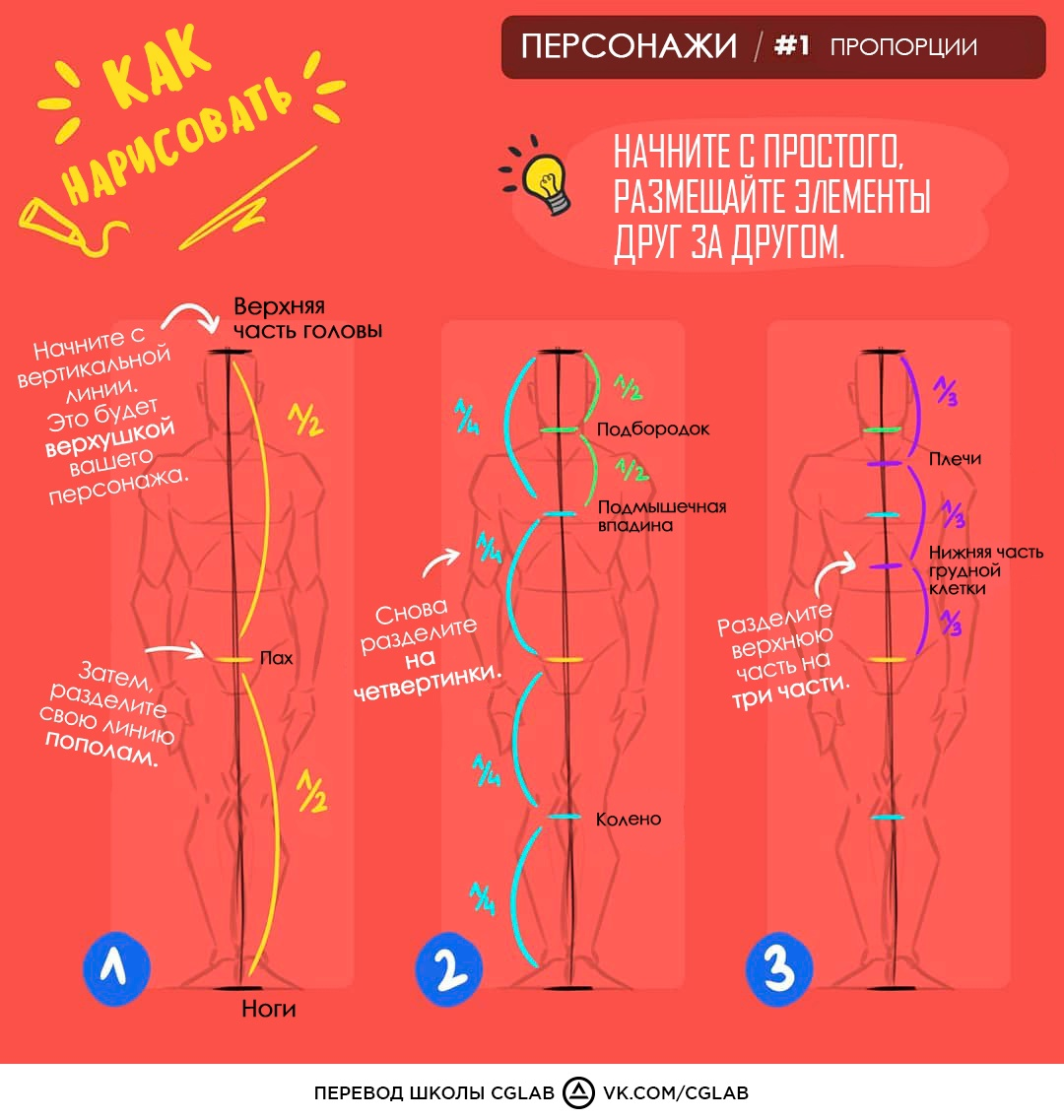 Сегодня рассмотрим самые основные пропорции. С чего начинать? – Telegraph