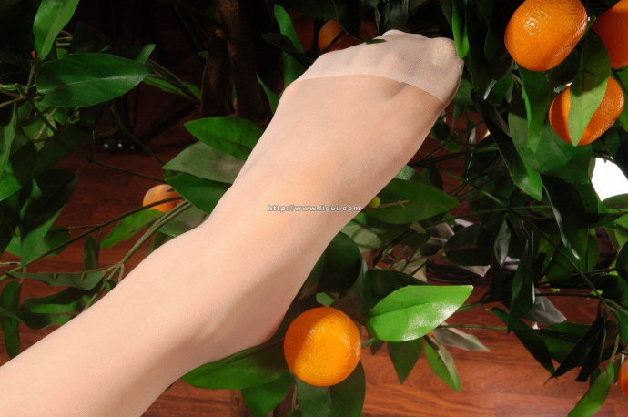 [Image: 697a64558f172dea960ff.jpg]