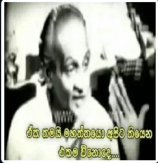 69a3e97b51cf0e309b52f.png