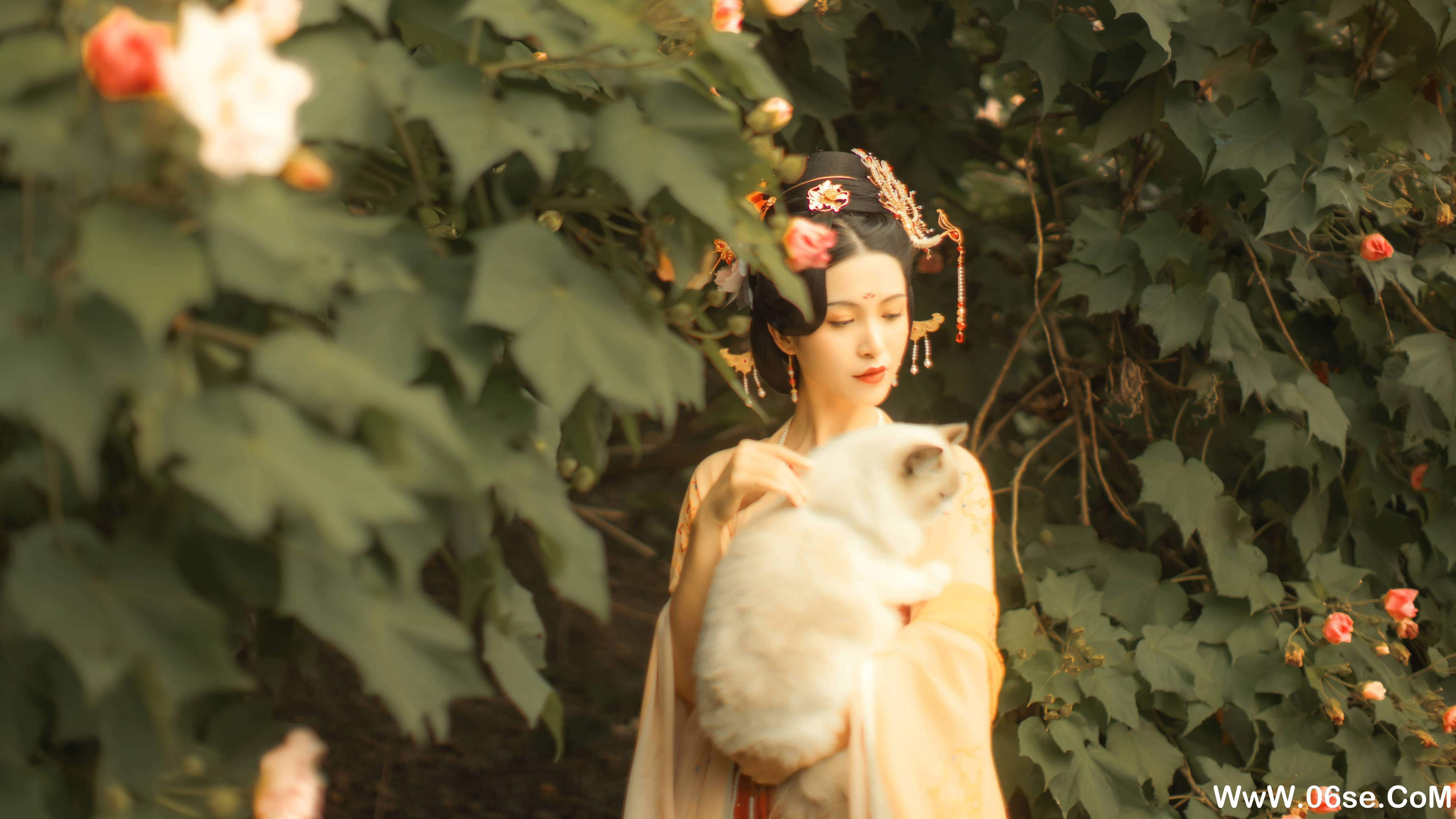 图片[36]-[YITUYU艺图语]2021.11.18 芙蓉词 修水凝花[37+1P／515MB]-六色网