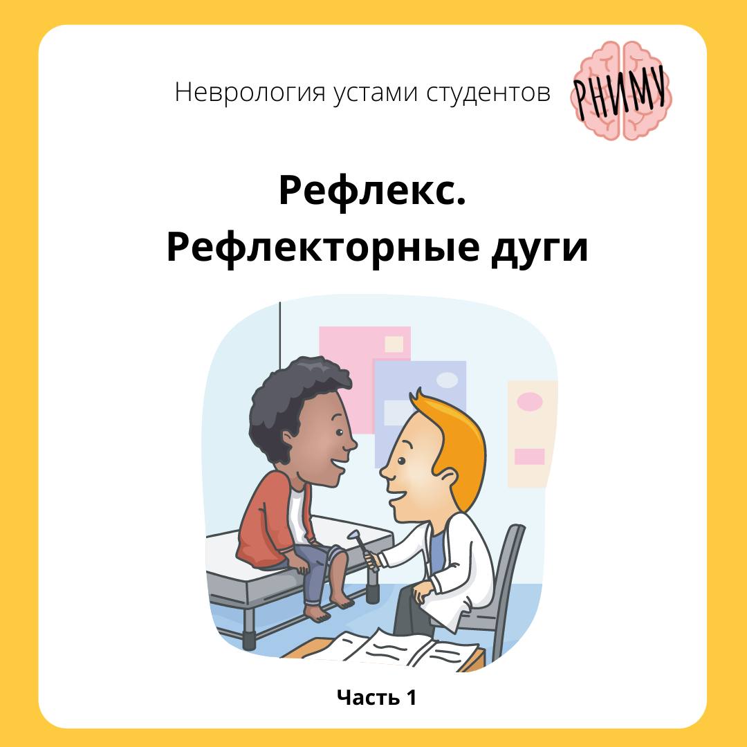 Устами студента. Дзержинский технический колледж. Устами студента. Архитектурная школа марш преподаватели. Неврология устами студентов.