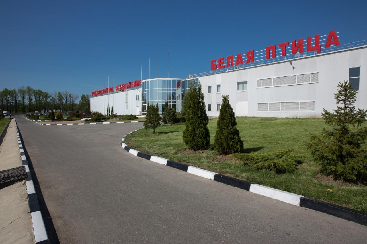 Белая Птица Белгород Магазины