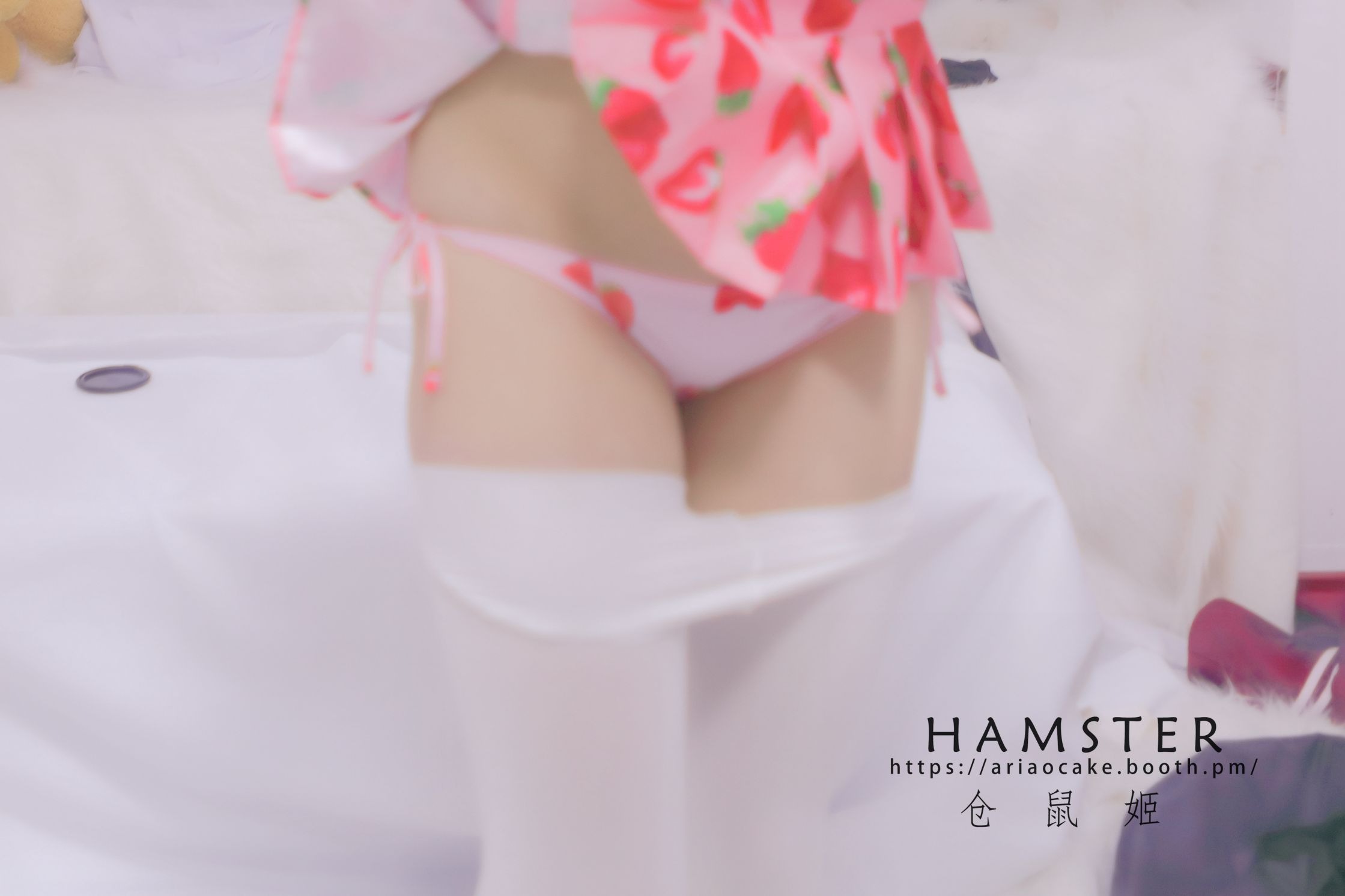 HAMSTERS 仓鼠姬 - NO.005 VOL.02 居家女友2 [34P-38MB] 2
