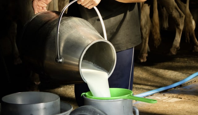 ГК «ЭкоНива» увеличила производство молока на 21% в 2021 году