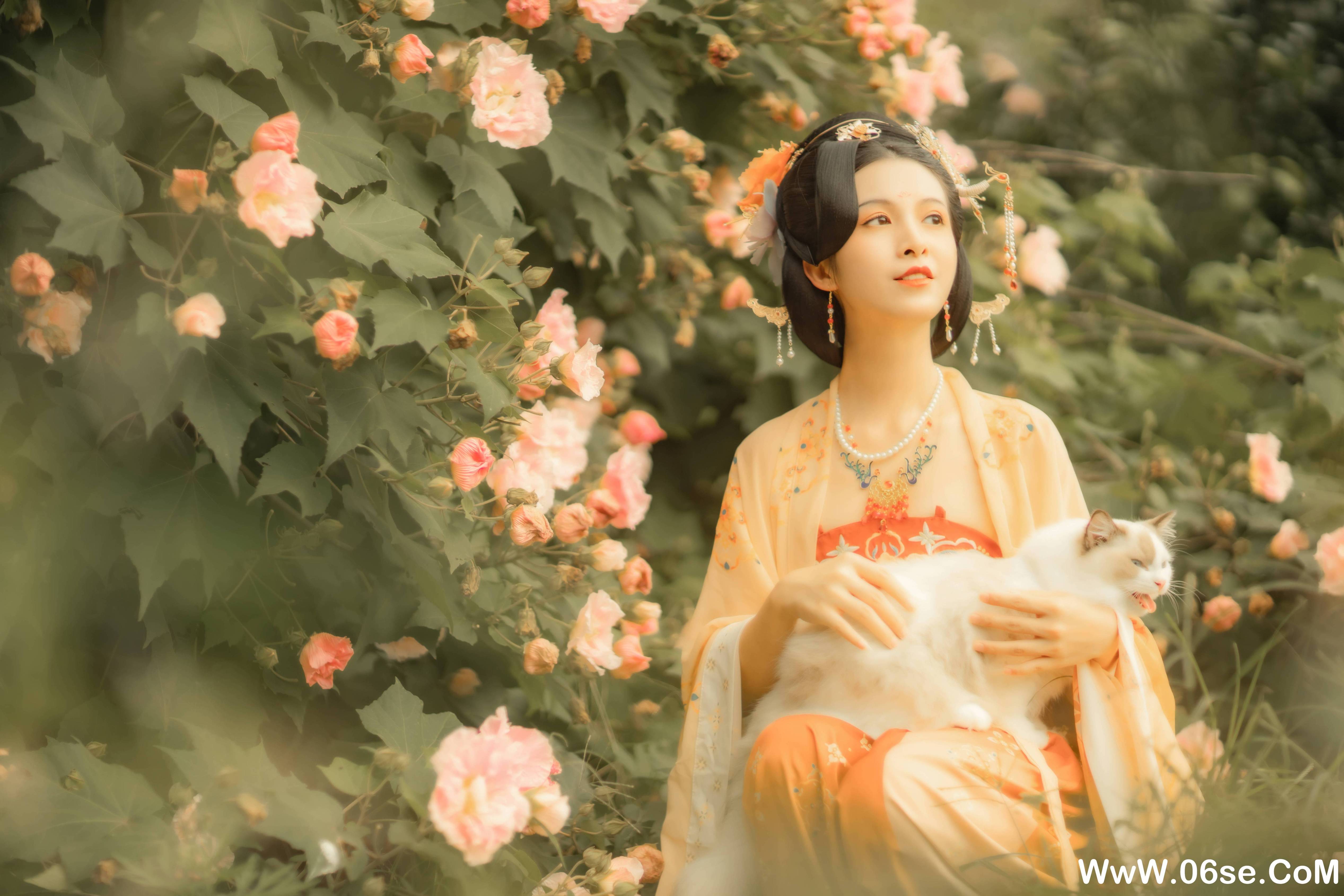 图片[10]-[YITUYU艺图语]2021.11.18 芙蓉词 修水凝花[37+1P／515MB]-六色网