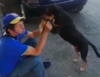 Un perro haciendo el coro