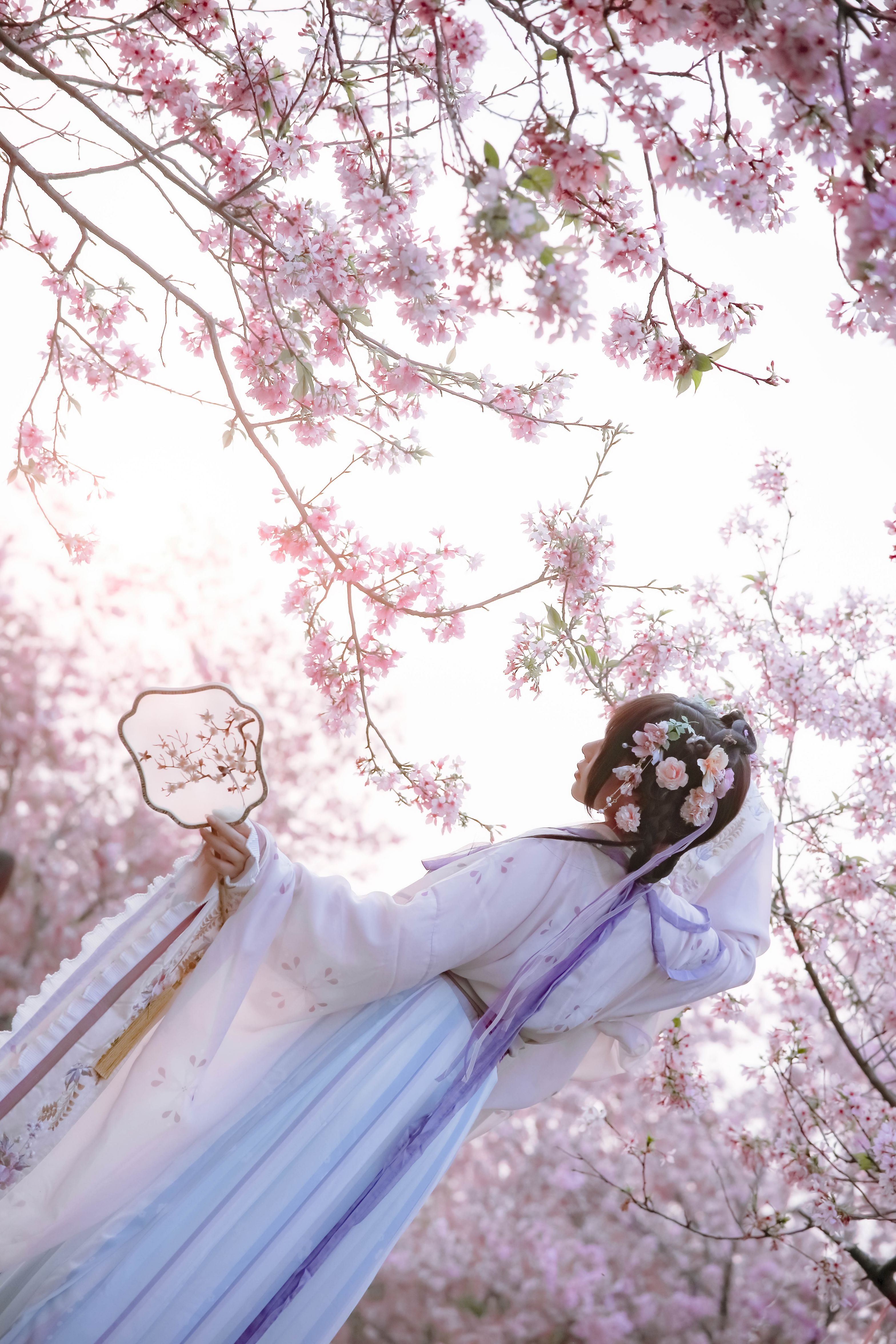 喵子Nyako - 樱花汉服 花神祈愿 [52P-219MB] 47