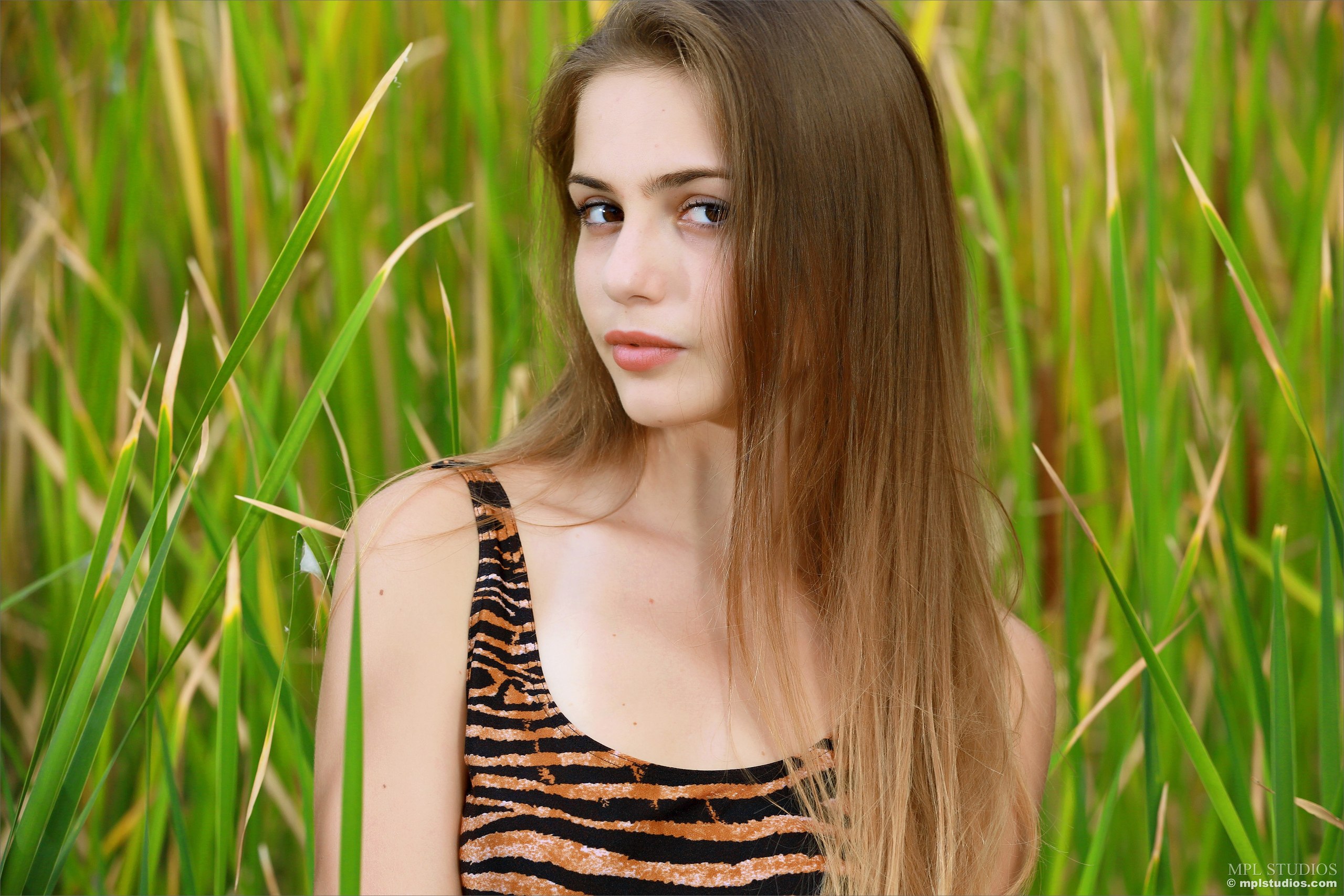 [Image: 6cd96c23f5f6fc10a2ce2.jpg]