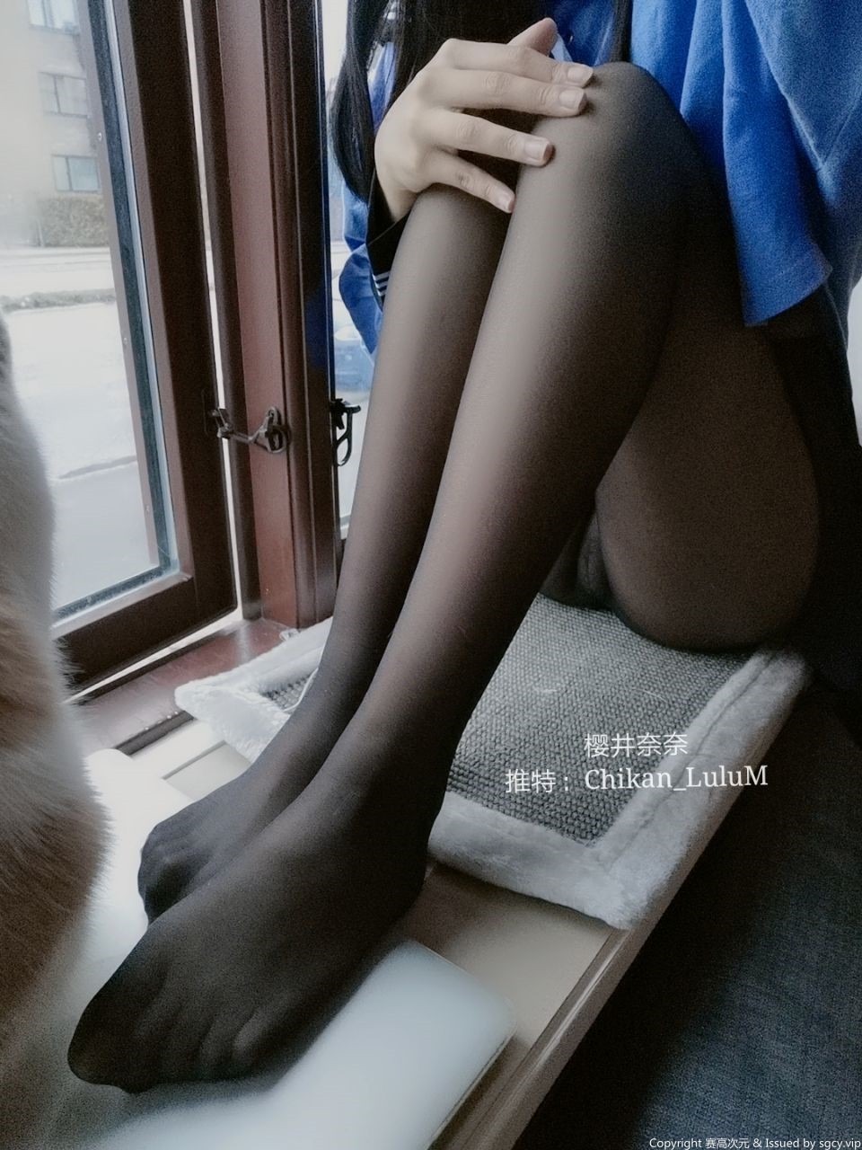 樱井奈奈- 无缝黑丝 31