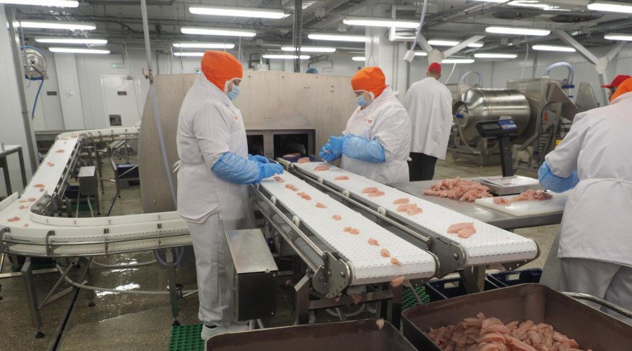 Группа «ПРОДО» запустила производство продукции для KFC в Калужской области