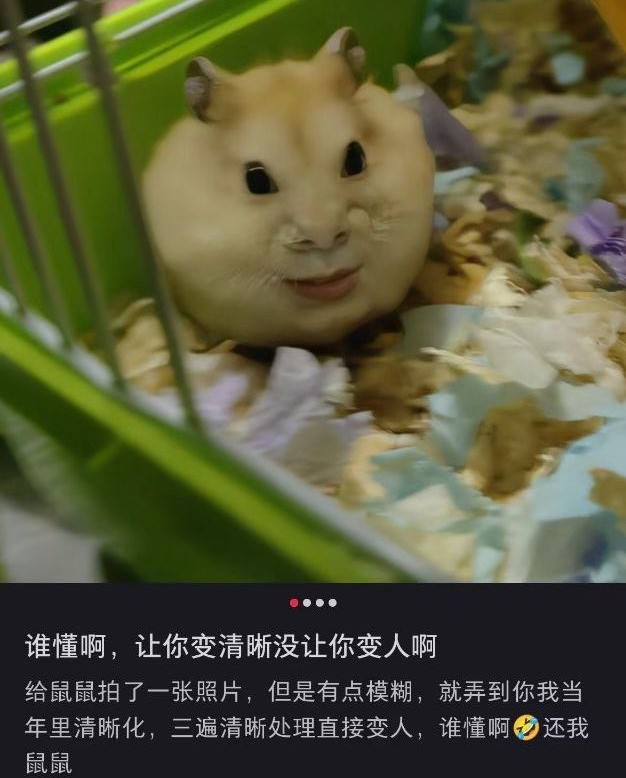 https://telegra.ph/file/6dc8ec85a6d3731f89587.jpg