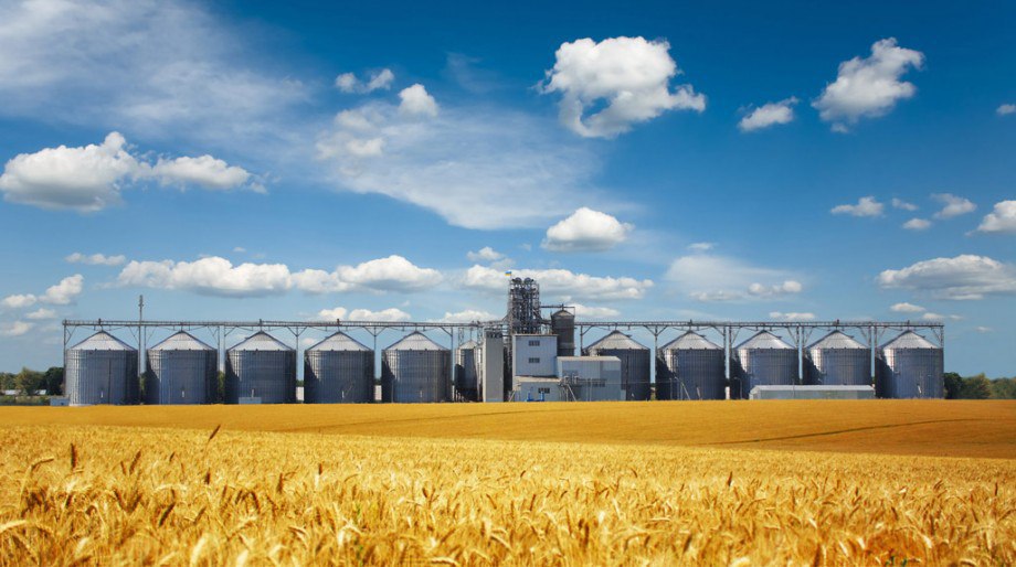 Эксперты раскритиковали предложение Гордеева создать «зерновой ОПЕК»