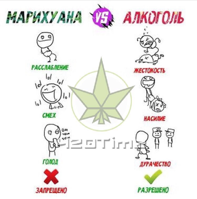 сравнение марихуаны