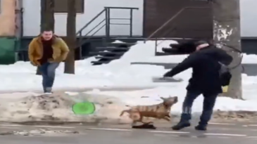 Un borracho deja que su perro juegue con un anciano