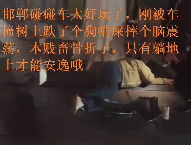 https://telegra.ph/file/6e91a219e0267cd608e7b.png