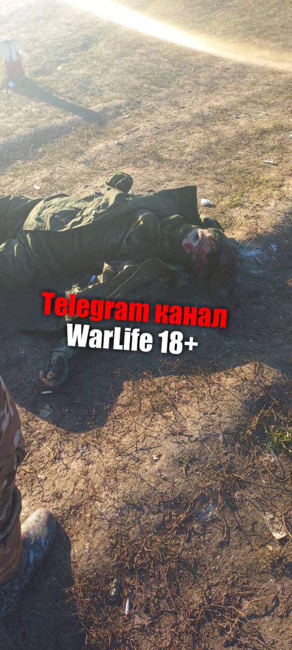 https://telegra.ph/file/6ef904f2d768308a8aebb.jpg