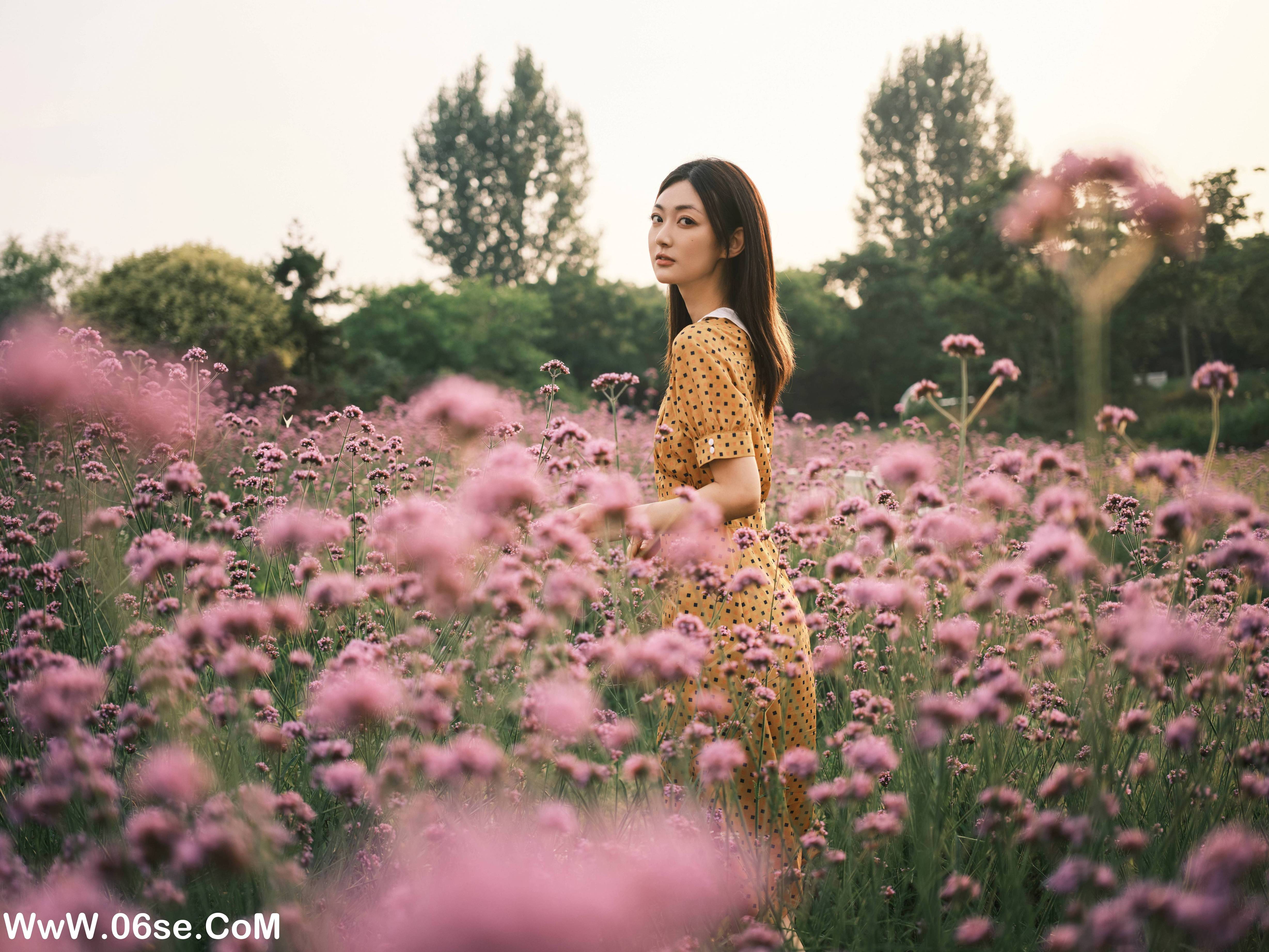 图片[28]-[YITUYU艺图语]2022.08.08 硫华菊&柳叶马鞭草-是夏天的味道呀！ 飞鸟咕咕-[43+1P／1.08GB]-六色网