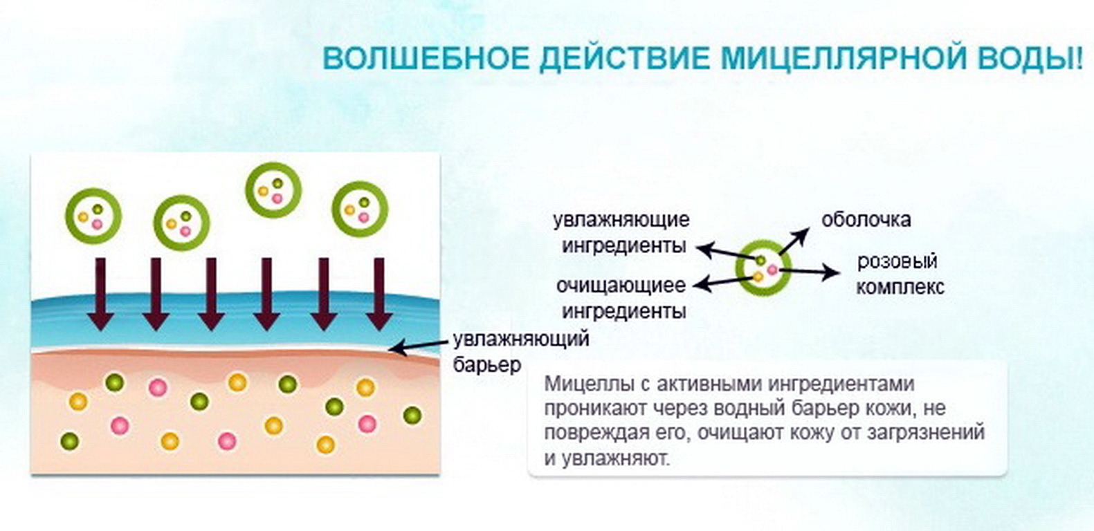 Как действует вода. Мицеллы в мицеллярной воде. Строение мицеллярной воды. Пав в мицеллярной воде. Мицеллярная вода как работает.