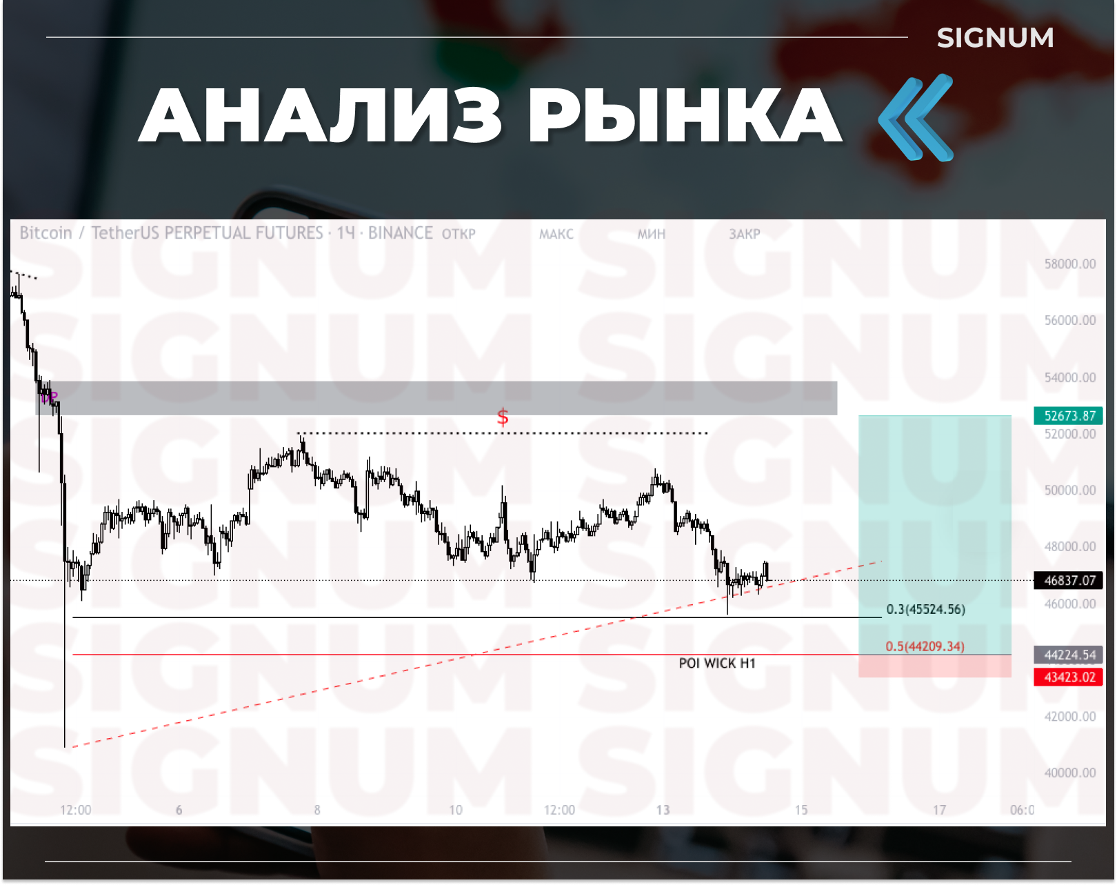 Бинариум сигналы телеграмме бесплатно фото 67