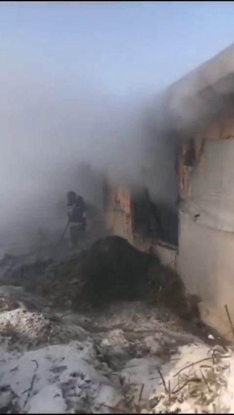 180 животных сгорело в пожаре на хабаровской ферме