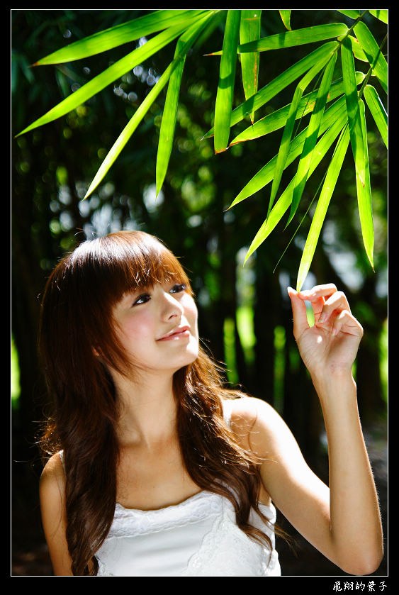 [Image: 6f824345a63bfc486b740.jpg]