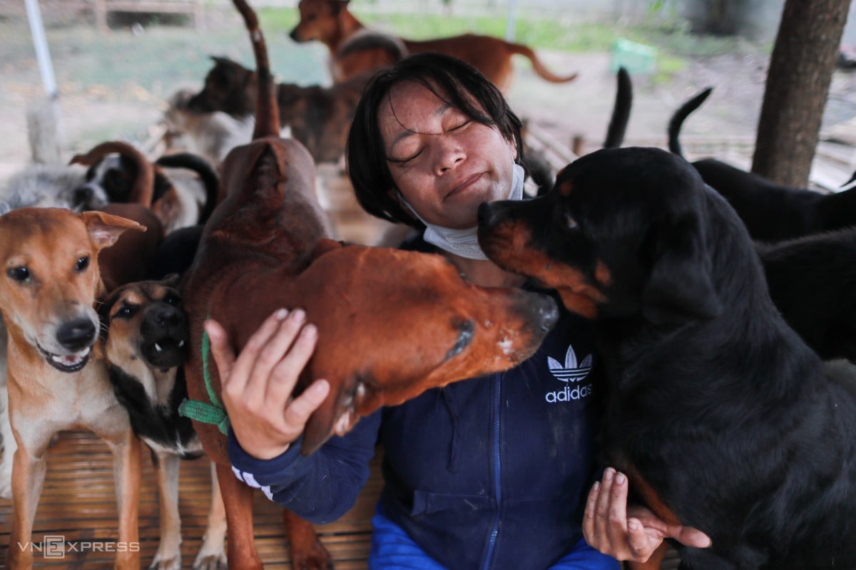 Женщина из Сайгона спасла 500 собак и кошек от бойни