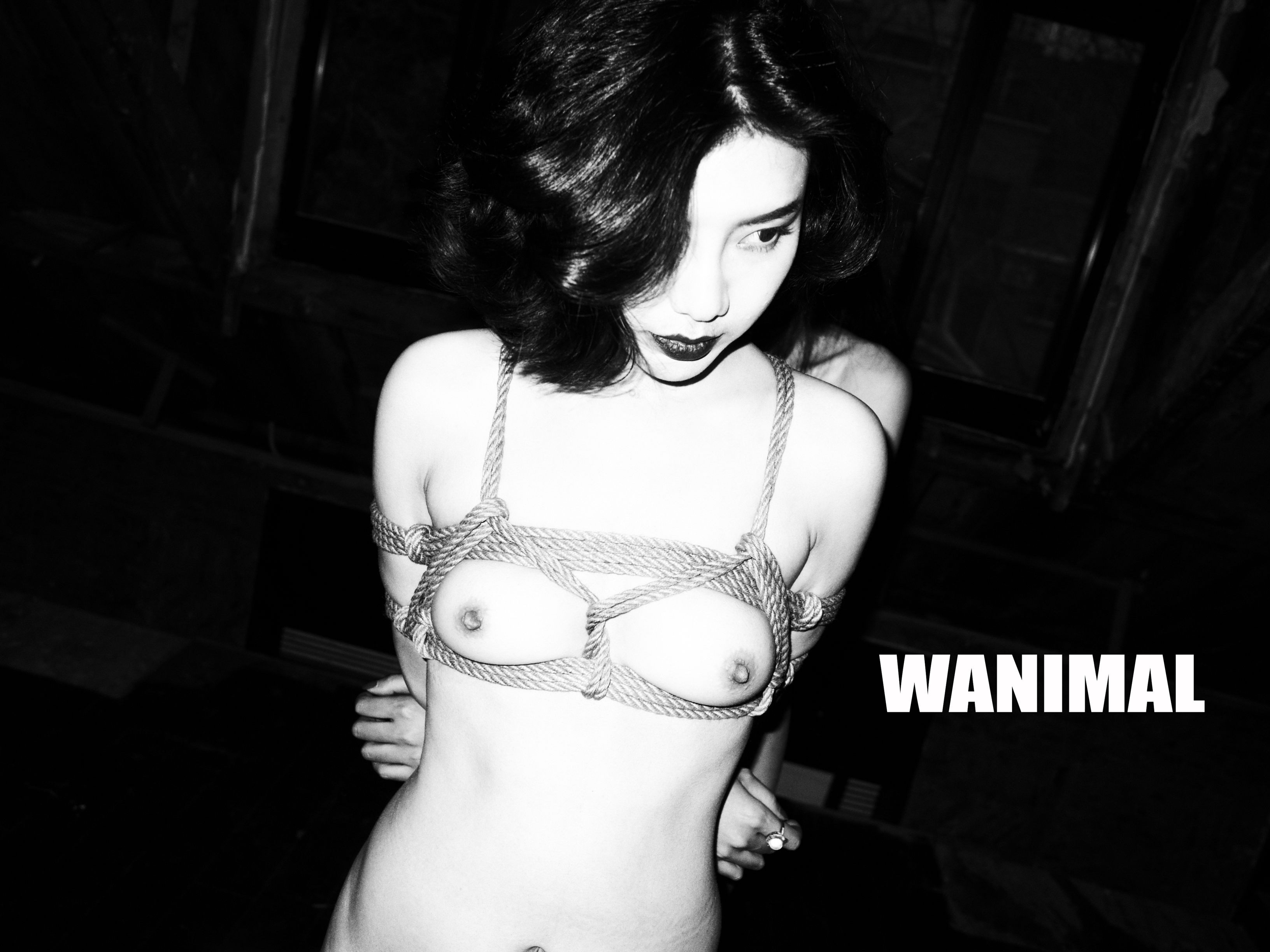 王动WANIMAL - SM绳艺 150P 100