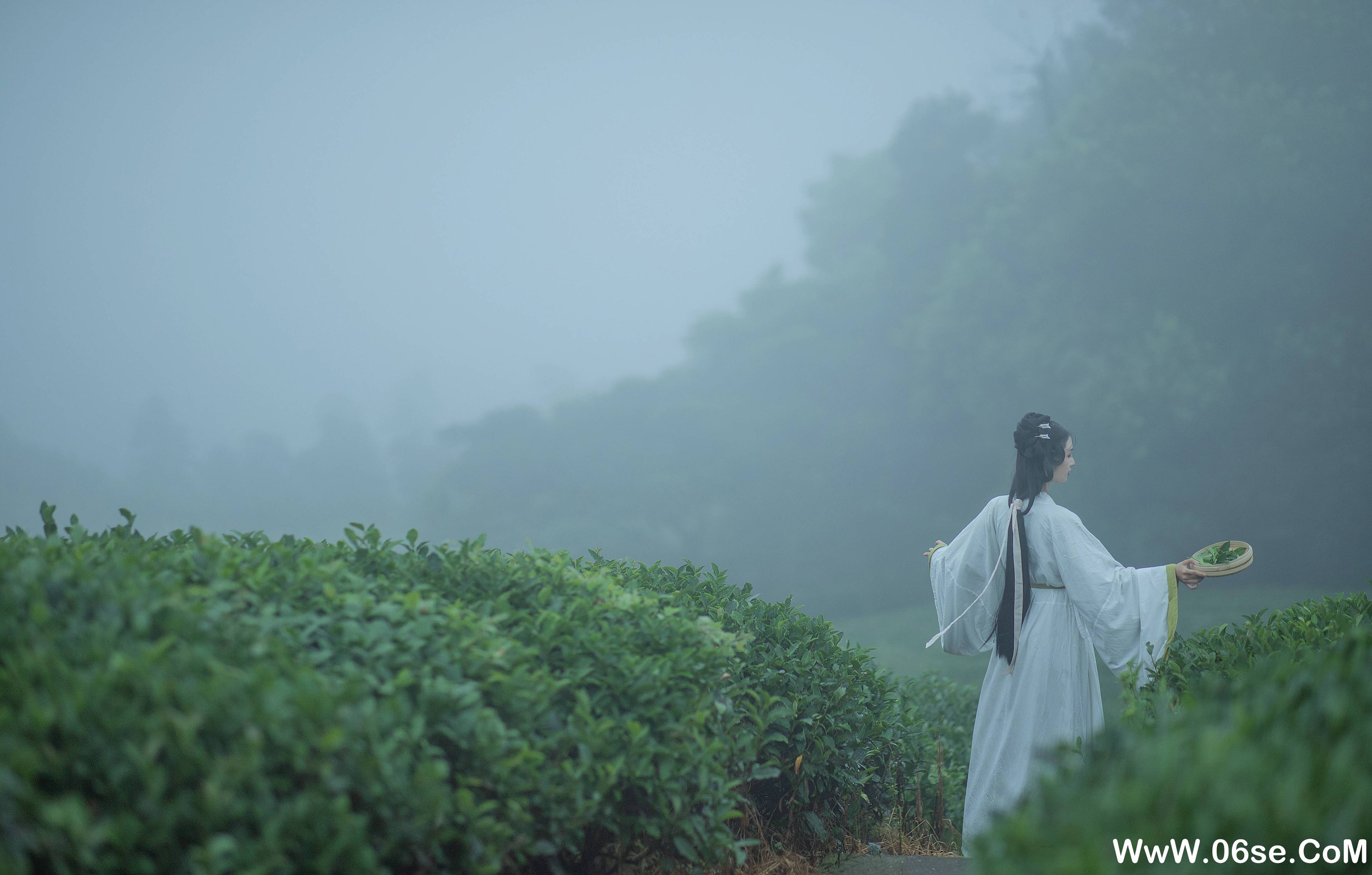 图片[4]-[YITUYU艺图语]2021.12.02 采茶女 十八重川[19+1P／151MB]-六色网