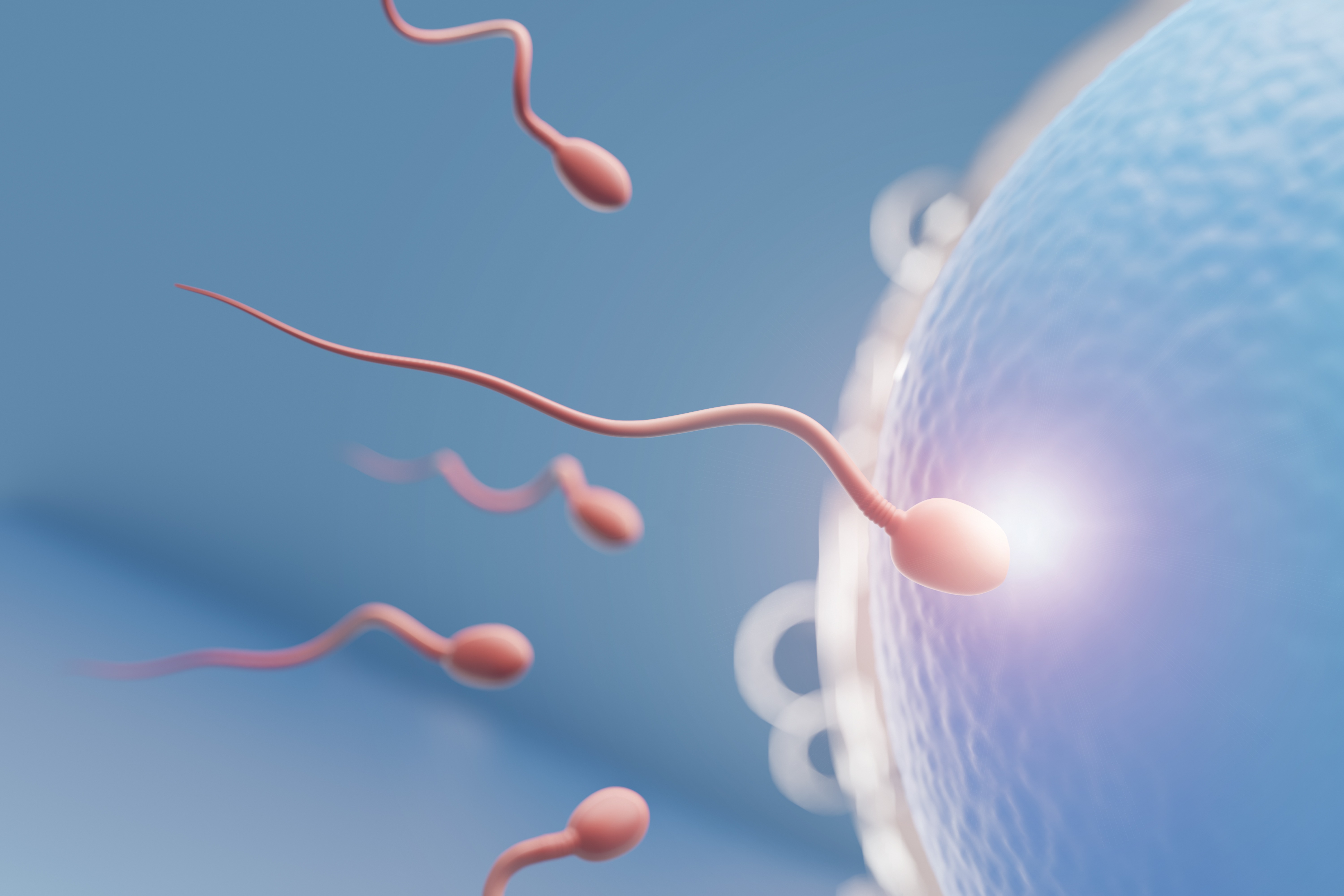 роль спермы в организме фото 111