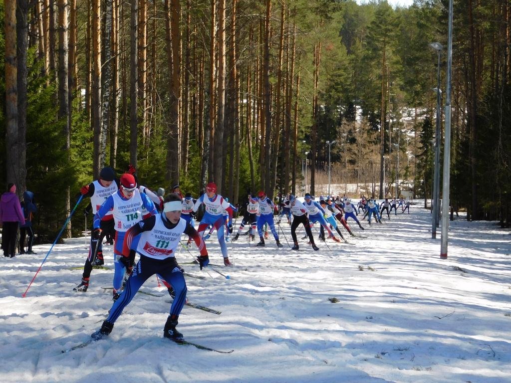 Чайковский спортивный