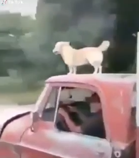 Cuando están peleados y no van juntos
