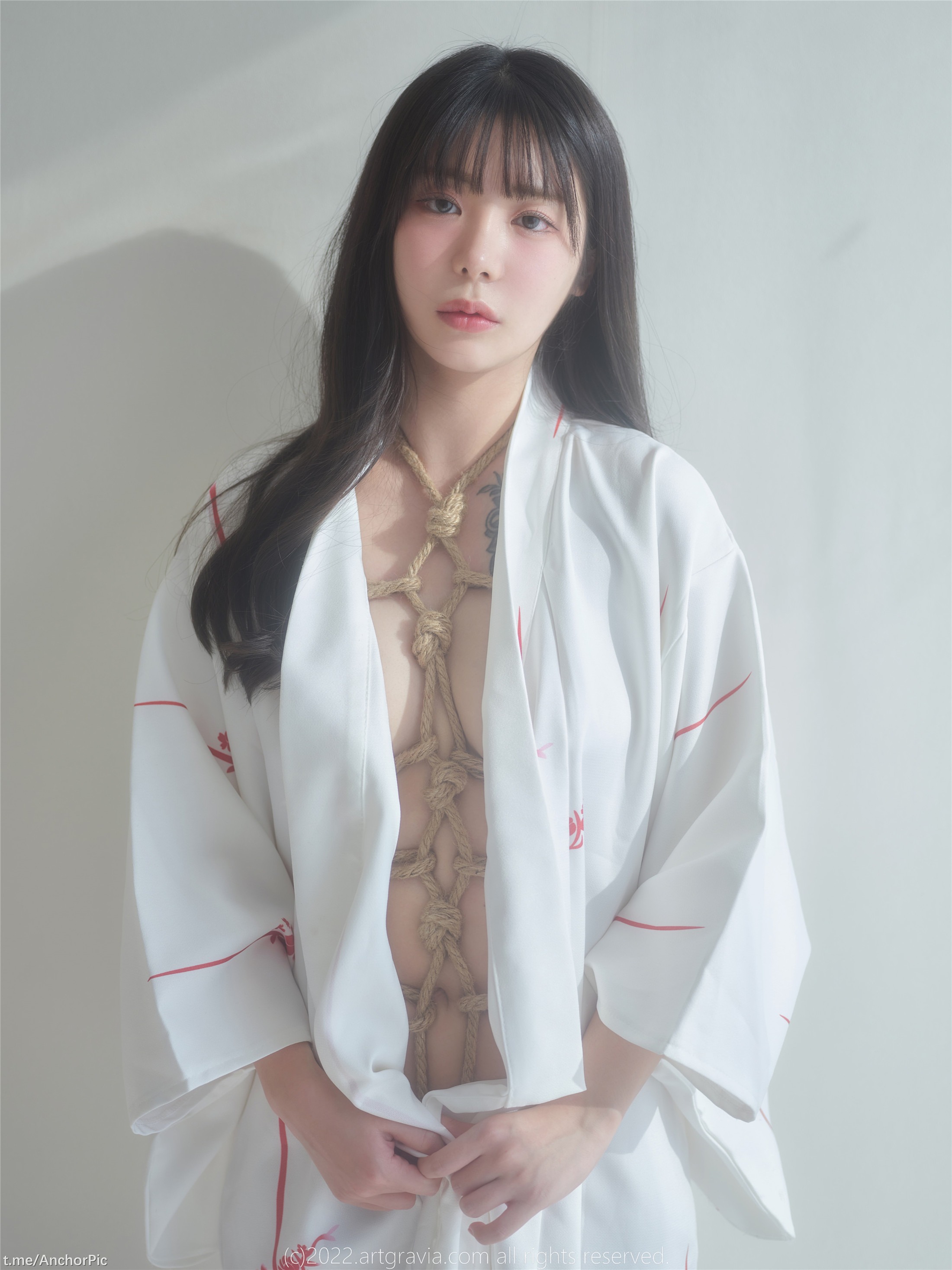 [ArtGravia] VOL.464 Wuyo 100P 27