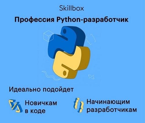 Стажер разработчик python. Python Разработчик. Skillbox Python Разработчик. Профессия Разработчик Пайтон. Булгаков Роман Skillbox.