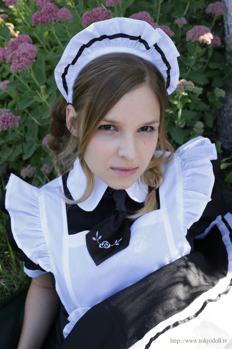 [Image: 715a339a96565bb9a09fb.jpg]