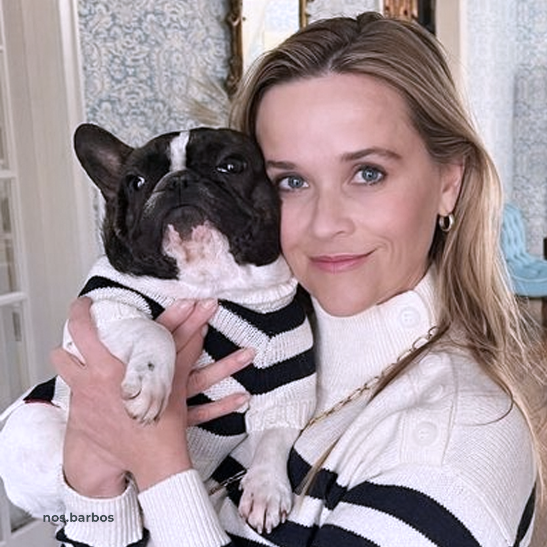 Собаки знаменитостей – Telegraph