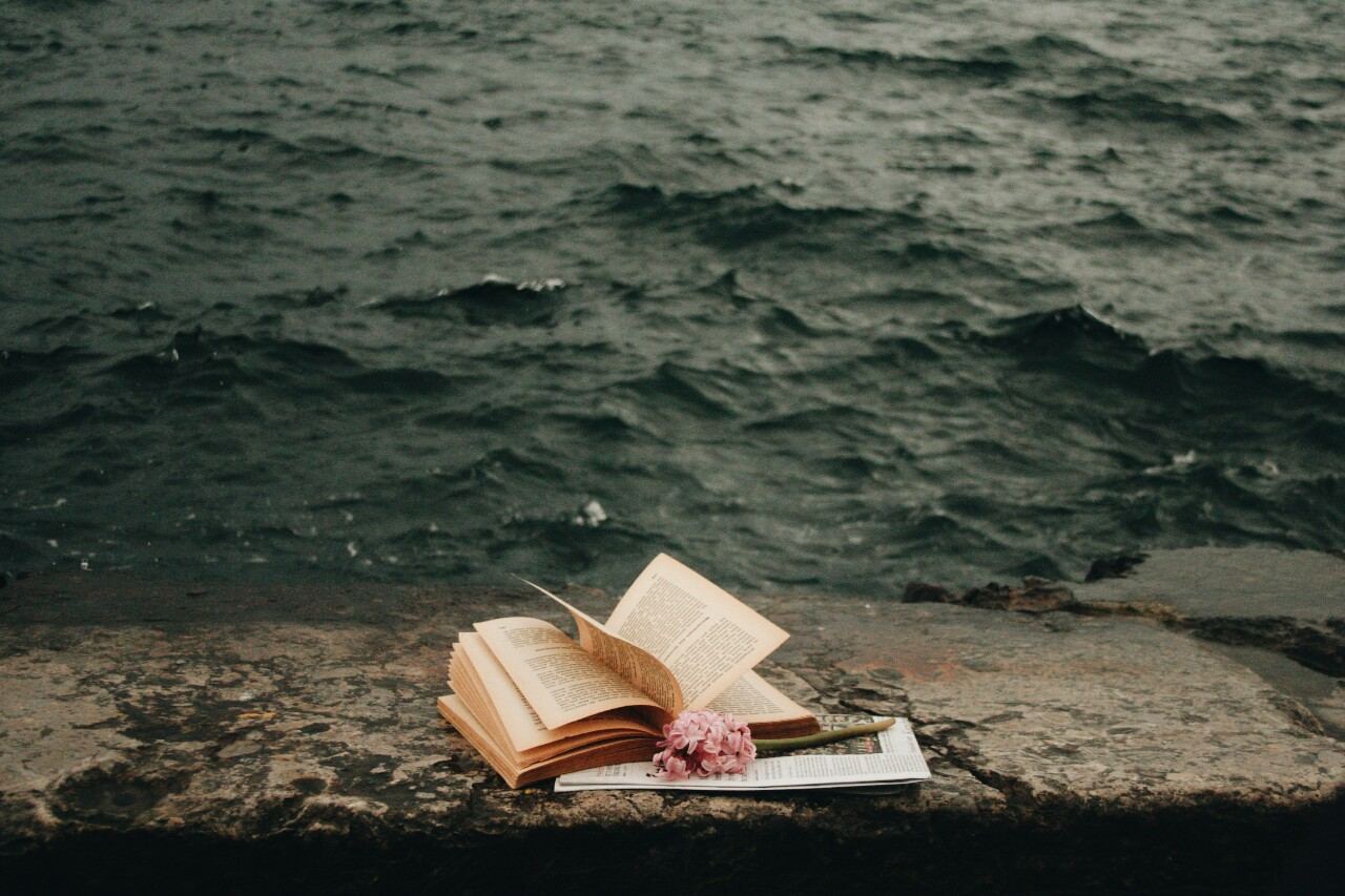 Читать берега жизни. Книга море. Книга на берегу моря. Чтение на море. Книга на фоне моря.